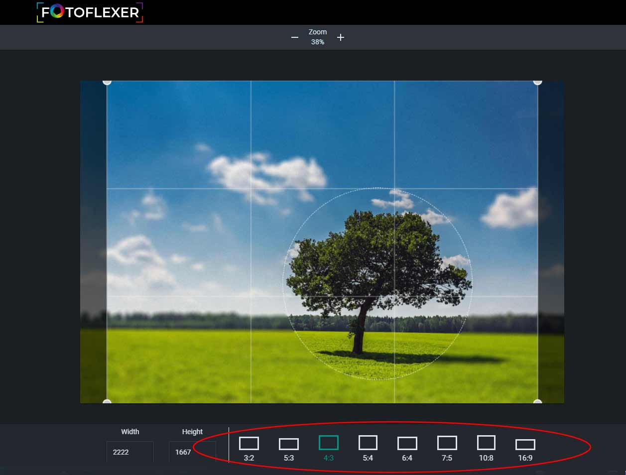 Cropping And Resizing FotoFlexer